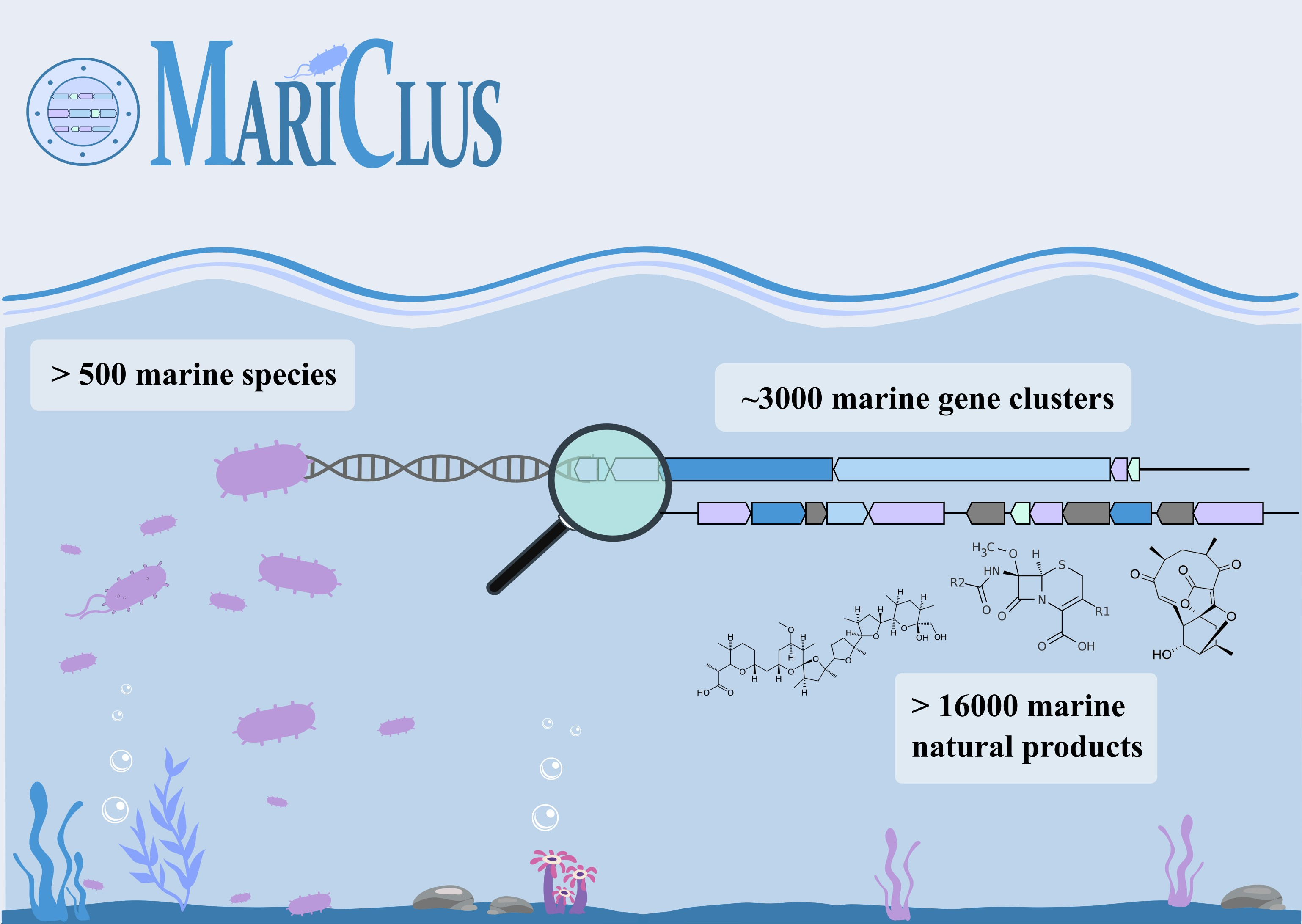 Graphical Abstract